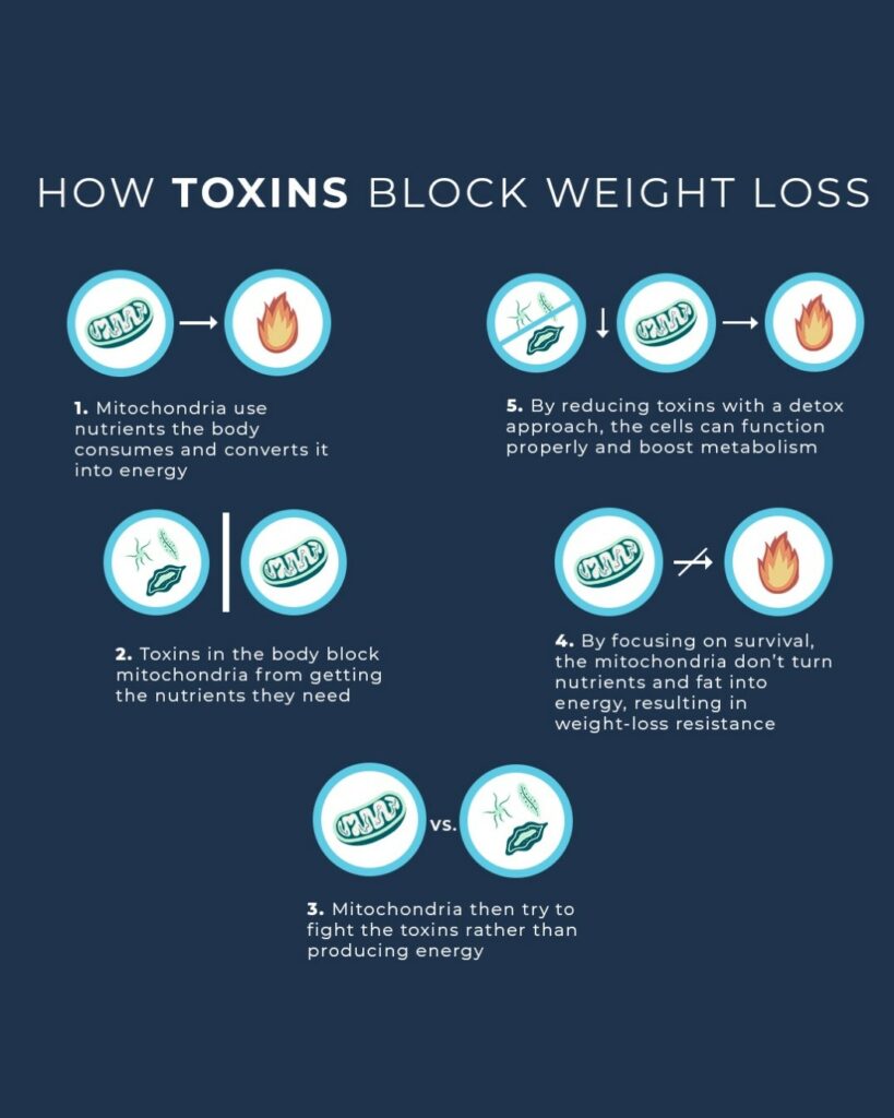 picture explaining how toxins block weight loss