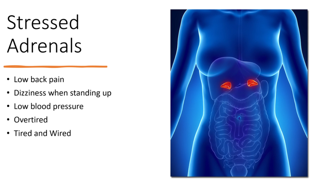 Symptoms of adrenal stress in the body illustration.