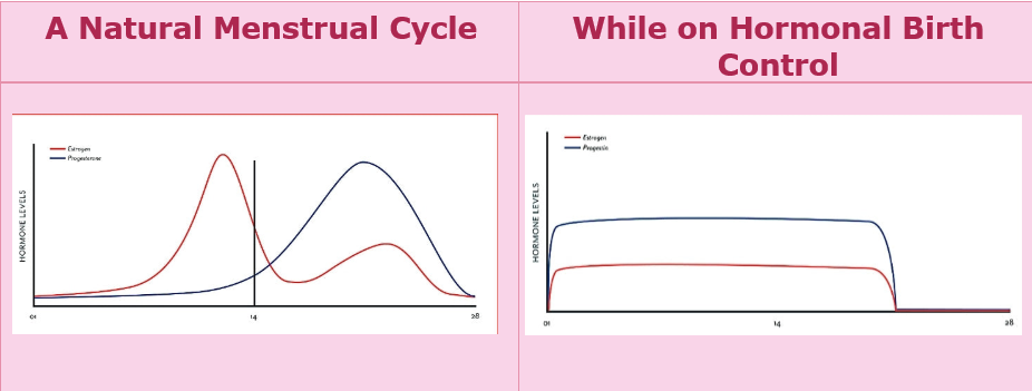Comparison of natural and hormonal cycle hormone levels.