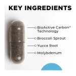 CellCore BioToxin Binder key ingredients: BioActive Carbon Technology, broccoli sprout, yucca root and molybdenum
