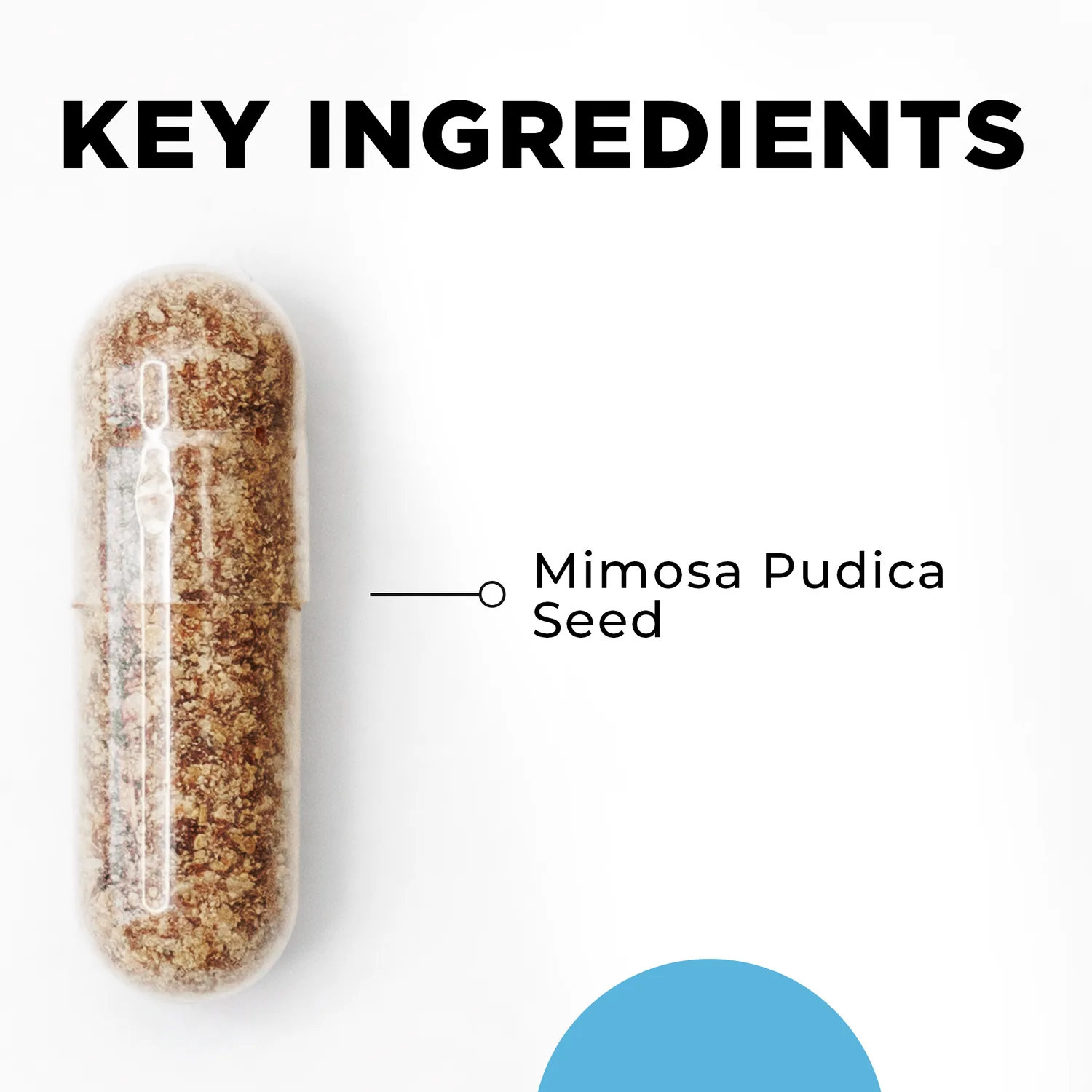 CellCore Para 1 key ingredient: 100% Mimosa pudica (sensitive plant) seed