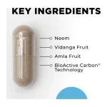 CellCore Para 2 key ingredients: neem, vidanga fruit, amla fruit and BioActive Carbon Technology