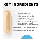 Core Nutrients key ingredients — methylated B vitamins, chelated minerals, PQQ and BioActive Carbon