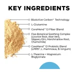 CoreMend GI key ingredients — L-glutamine, five-botanical soothing complex, fibre and probiotic blends