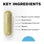 CytoImmune capsule with key ingredients — black cumin seed, quercetin, cordyceps, neem and BioActive Carbon