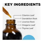 Dropper above the IS-BOOST bottle with five key herbs listed: cilantro leaf, dandelion root, liquorice root, oregano leaf and thyme leaf