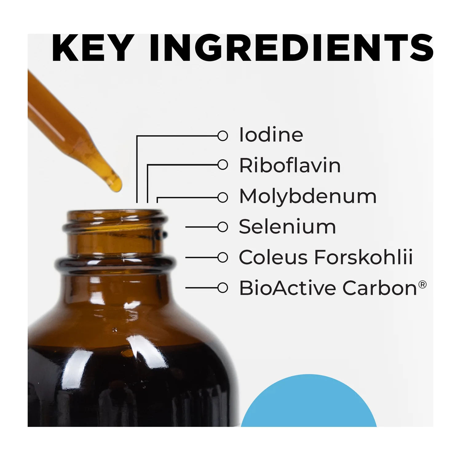 Key ingredients of Metabolic Activator: iodine, riboflavin, molybdenum, selenium, coleus forskohlii and BioActive Carbon