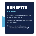 MitoActive benefits — mitochondrial biogenesis, cellular detoxification, less oxidative stress