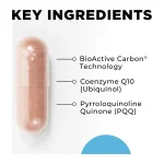 MitoActive capsule with key ingredients — BioActive Carbon, ubiquinol CoQ10 and PQQ