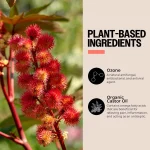 PurO3 graphic: plant-based ingredients — ozone and organic castor oil with omega fatty acids