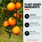 PurO3 graphic: plant-based ingredients — ozonated jojoba oil, bergamot oil and aloe vera