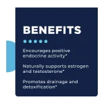 S-TRO benefits — endocrine activity, oestrogen and testosterone support, drainage and detoxification