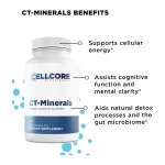 CT-Minerals benefits within the Step 3 kit: cellular energy, mental clarity and detox