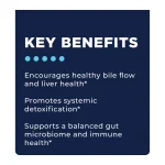 Step 3 key benefits: healthy bile flow and liver health, systemic detoxification, balanced gut microbiome and immune health