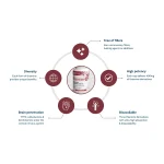 Thiamega benefits: 400 mg thiamine per capsule across four forms, highly bioavailable, brain penetration