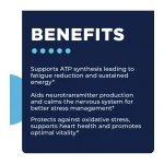 TriMag Complex benefits: supports ATP synthesis and sustained energy, aids neurotransmitter production and stress management, supports heart health and vitality