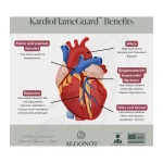 What each ingredient in KardioFlameGuard does for the heart, from homocysteine to blood pressure