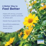 Arnica montana flowers, the mountain daisy behind Arnicare, which is NSAID-free and gluten-free with no artificial sweeteners, flavours, colours or preservatives
