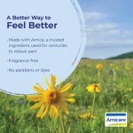 Arnica montana in flower in an alpine meadow: a fragrance-free ingredient used for centuries to relieve pain, with no parabens or dyes