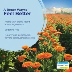 A field of calendula in flower, one of the plant-based actives in Boiron StressCalm, which is sedative-free with no artificial sweeteners, flavours, colours or preservatives