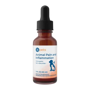 DB Pets Animal Pain and Inflammation homeopathic drops for pets, 1 fl oz (30 ml) dropper bottle, front